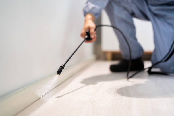 Licensed Pest Control service in Au Sable, MI - Show Me Pest Control