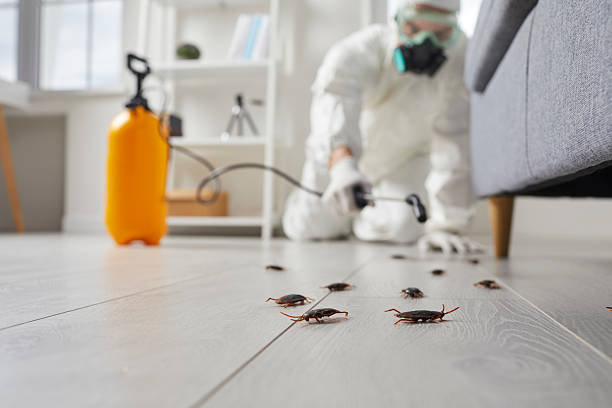 Commercial Kitchen Cockroach Control in Au Sable